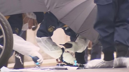 Police arrest man in fatal stabbing of YouTuber during livestreaming in Tokyo