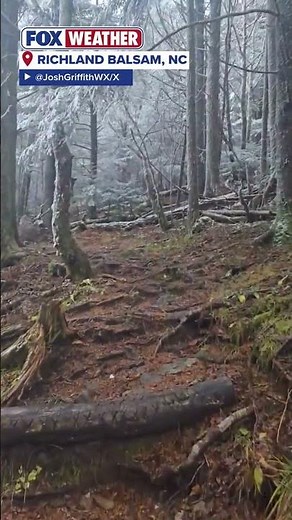 Winter wonderland in North Carolina