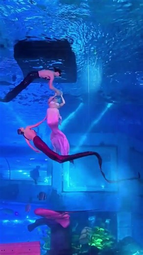 Snake... Beauty#The snake#Snake Girl#Zhengjia Polar Ocean World#Every movement is earned t