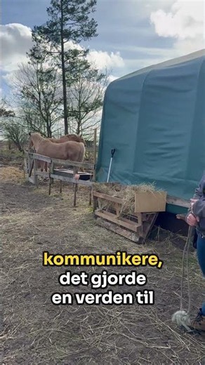 Hesteejer? Stop med at træne problemet væk. Jeg troede, min hest skulle trænes...