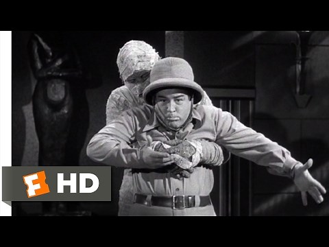 Abbott and Costello Meet the Mummy (1955) - You Can Come Out Now Scene (7/10) | Movieclips