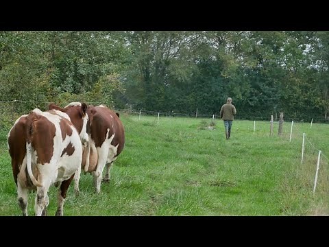1 JOUR A LA FERME avec un éleveur laitier