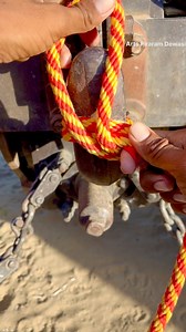 459K views · 2.2K reactions | Practical trailer knots, daily knot tips. #knots #reel #trailer | piraram_dewesi_arts | Facebook
