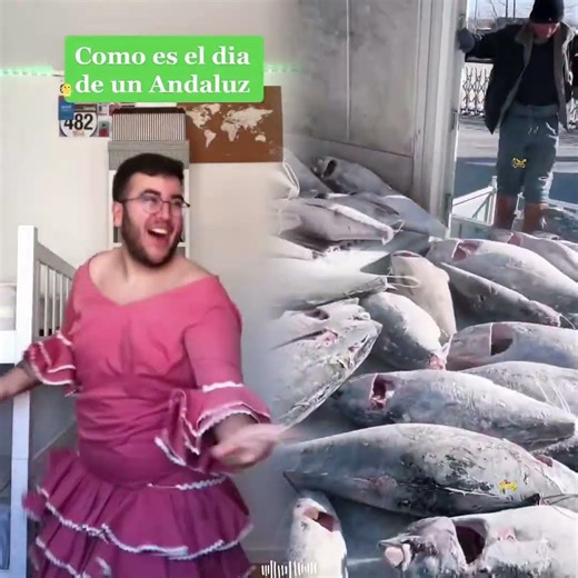 This is absolutely hilarious, and I can't stop laughing 😂😂#hablandohuevadas #humor #argentina