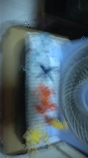 SpongeBob Movie Shell City comes alive scene recreation part 2