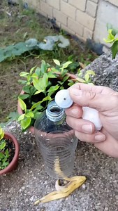 Sistema di fertilizzazione e irrigazione automatica 😍😉👌♥️♥️♥️♥️♥️ #youtubechannel #vecchiascuola #seguimi #youtube #sistem | Maurizio Torresi