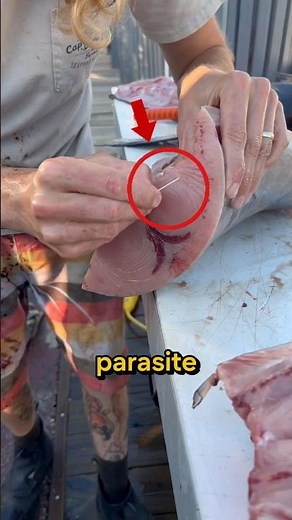 The Most Parasite-infested Fish