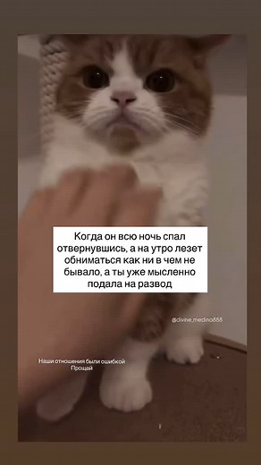 Medina on Instagram: "@divine_medina888"