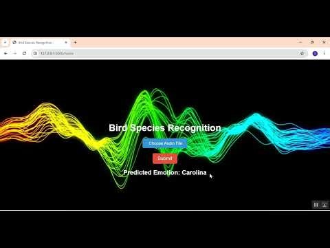 Bird Species Recognition in Python Projects