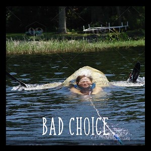 439 reactions · 47 shares | Make good snacking choices with Food Should Taste Good Tortilla Chips. | Food Should Taste Good | Facebook