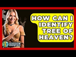 How Can I Identify Tree Of Heaven? - Ecosystem Essentials