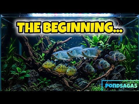 This Is Where It Started… (Monster Fish Journey Begins)