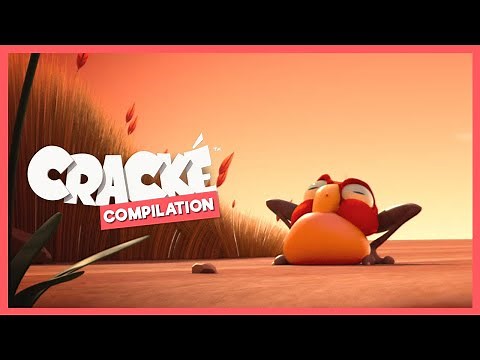 CRACKÉ - FROG | Cartoon Animation | Compilation