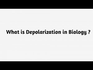 What is Depolarization in Biology ?