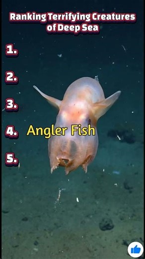 Ranking the Most Terrifying Ocean Creatures🦈🦑 of the Deep Sea #ranking #ocean