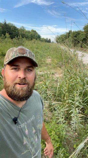 39K views · 1.8K reactions | Checking on some roadside remnants in North Alabama last week! #nativehabitatproject #Conservation #Alabama #grasslands #nativeplants | Native Habitat Project | Facebook