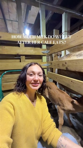 Daily Milk Production from a Cow and Calf Dynamics