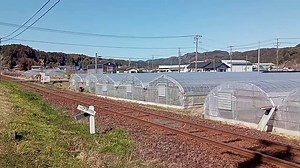 2026.3.14天竜浜名湖鉄道 THG100形 THG101 営業運転開始記念 貸切列車(東ルート)豊岡-敷地間にて天浜線の新たな歴史が今日スタートしました！今日明日は臨時の貸切列車での運行となります。運転席横には記念のお花が飾られていました💐デビューおめでとうございます🎉