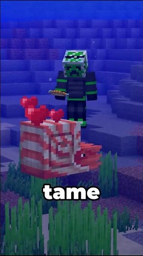 How to Find a NAUTILUS in Minecraft Mounts of Mayhem Drop!