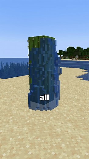 This potion turns you into water #minecraft #minecraftmemes #minecraftbuilds #minecraftpe #minecraftmods | SeaWattgaming