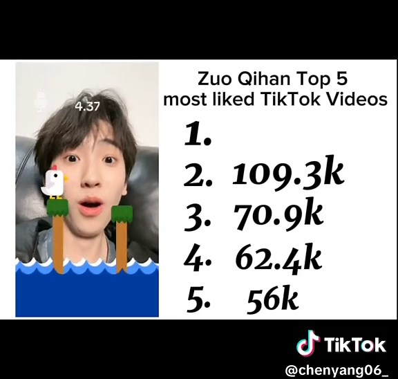 Top 5 Most Liked TikTok Videos You Need to Watch