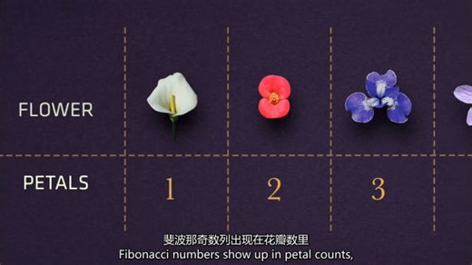 分享这部纪录片《数学大迷思The Great Math Mystery》…