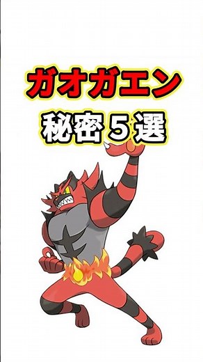 ガオガエンの秘密 ポケモン解説