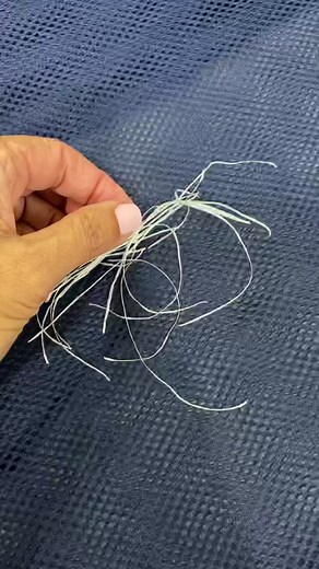 Moving a #monarchbutterfly #chrysalis to the mesh enclosure #butterflytiktok #butterflies #nature #naturetiktok #raisingbutterflies