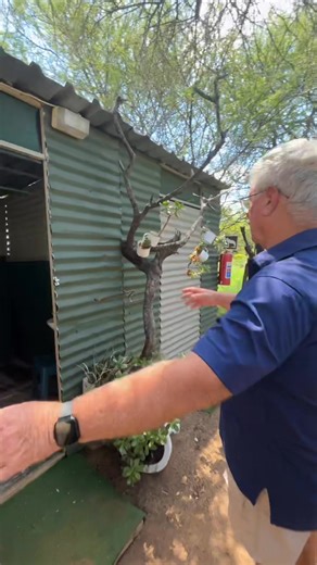 Each campsite has its own ablutions, making your bush stay much more comfortable here in Dinokeng ⛺️ #camping #kamp #safari #dinokeng #big5 | Thorn Tree Bush Camp