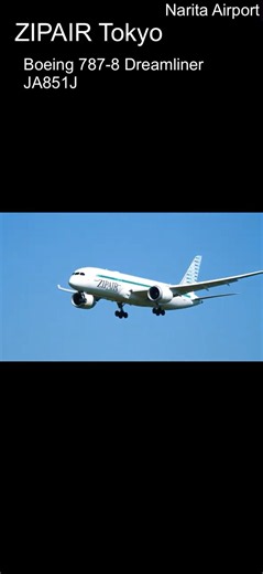 B788 ZIPAIR Tokyo ジップエア ボーイング787 Dreamliner 成田国際空港 着陸 Narita Airport Japan #shorts #boeing #b787