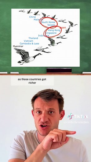 Understanding East Asia's Economic Development: Flying Geese