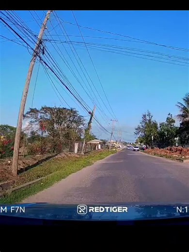 I guess they own the road! #jamaica #jamaicatiktok #jamaicantiktok🇯🇲viral #drivinginjamaica #live