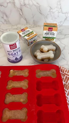 9.2K views · 89 reactions | These half goat’s milk, half Pumpkin Pour Over treats are perfect for pets with sensitive stomachs. ❤️ Save this recipe to make on a warm day! | The Honest Kitchen | Facebook