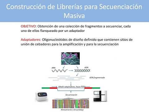 Basic Steps in Building Libraries for Massive Sequencing | | UPV