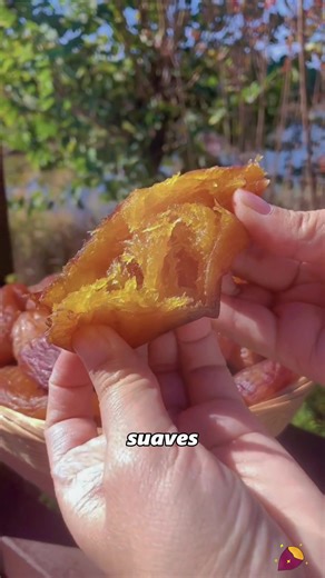 Exploring Dried Sweet Potatoes: A Unique Snack