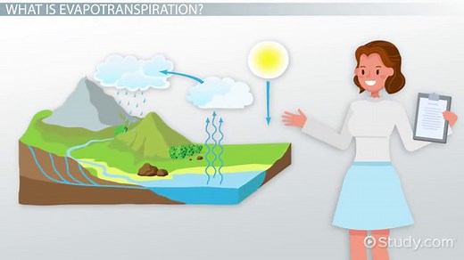 Evapotranspiration: Definition, Formula & Calculation