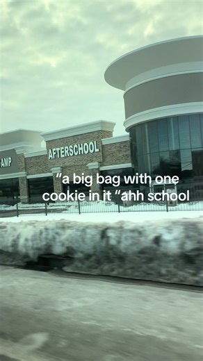 A Big Bag with One Cookie: School Memories
