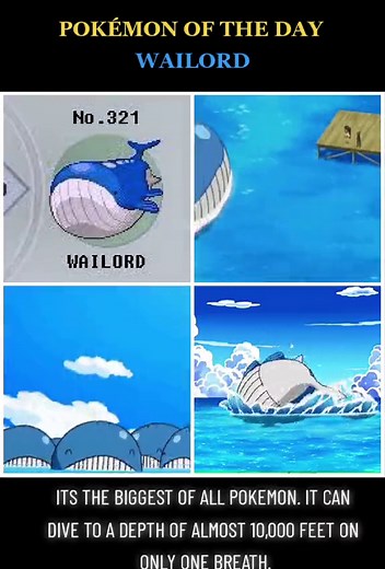 Wailord: The Float Whale Pokemon of Gen 3