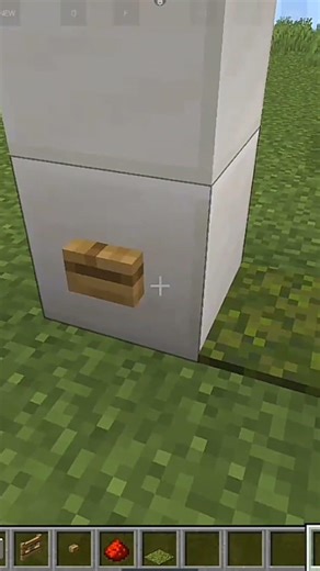 minecraft invisible door #minecraftshorts