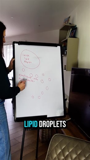 Katharine Estruch | A-level & GCSE Biology Teacher on Instagram: "Emulsification - what is it and how does it assisst digestion of lipids?⁠ ⁠ Day 26 of the 30 Day challenge to get you one grade higher in A-level Biology!⁠ ⁠ #biology #alevelbiology #lipids #emulsification"