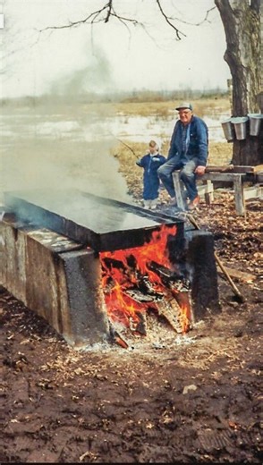 That’s a lot of pancakes! 🥞 #maplesyrup #bryansallin #simcoecounty #maplesyrupproduction #supportlocal #coldwater #experiencesimcoecounty | Backwoods Maple Syrup