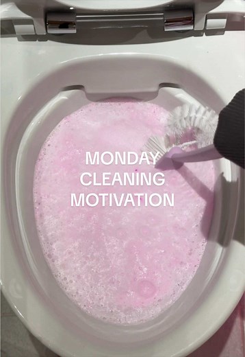 Monday Cleaning Motivation: Deep Clean with The Pink Stuff