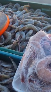 2.6K views · 238 reactions | Bom dia! Quinta, 25 de agosto de 2022....