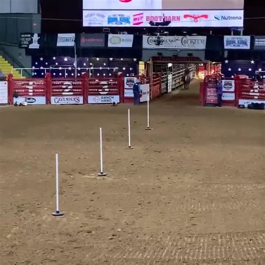 Pole Bending Equestrian Video