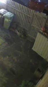 Anger as parcels found 'dumped all over Huddersfield' 😡 | Yorkshire Live