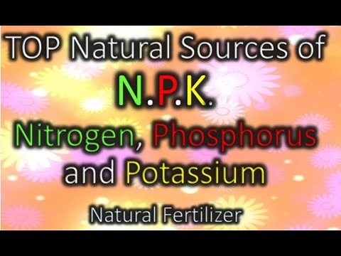 Top Natural Sources of N.P.K. Nitrogen, Phosphorus and Potassium. Natural Fertilizers. with value.