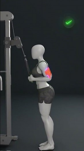 💪 Perfect Your Cable Triceps Extension With These Key Tips