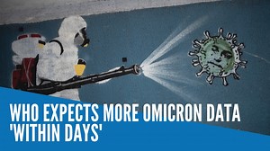 The World Health Organization (WHO) expects to have more information on the transmissibility of the new Omicron variant of the coronavirus within days, its technical lead on COVID-19, Maria van Kerkhove, said in a briefing on Wednesday. | INQUIRER.net