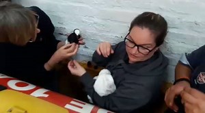 13K views · 434 reactions | Simon's Town crew help a bird entangled in fishing line. https://goo.gl/YLZwcp | NSRI | Facebook