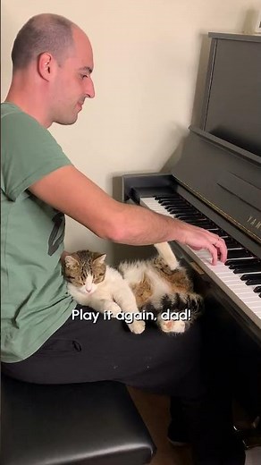 Dogs vs Phones 🐕📱 | FUNNIEST Pets of the Week